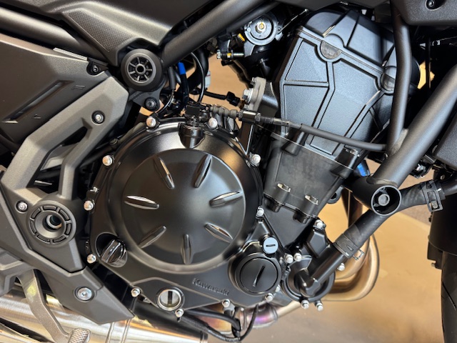 2021 Kawasaki Z650 Base at Martin Moto