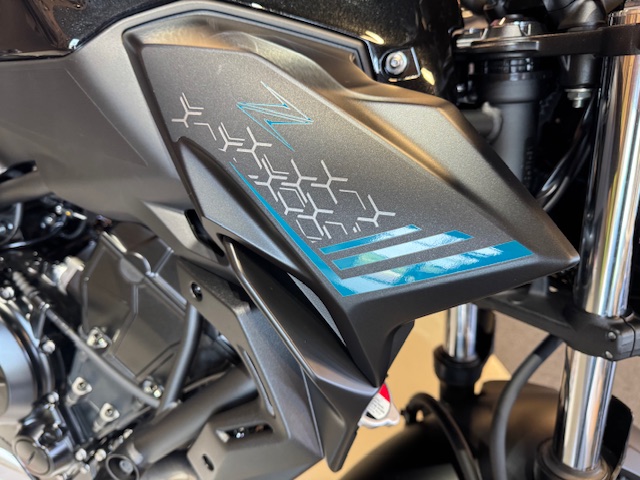2021 Kawasaki Z650 Base at Martin Moto