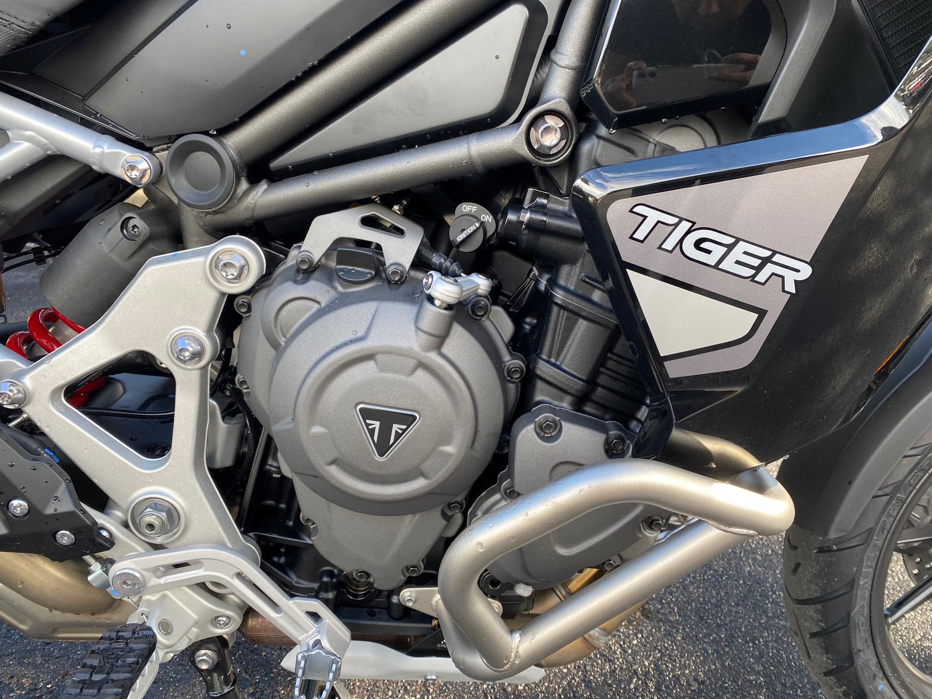 2023 Triumph Tiger 1200 GT Explorer at Tampa Triumph, Tampa, FL 33614
