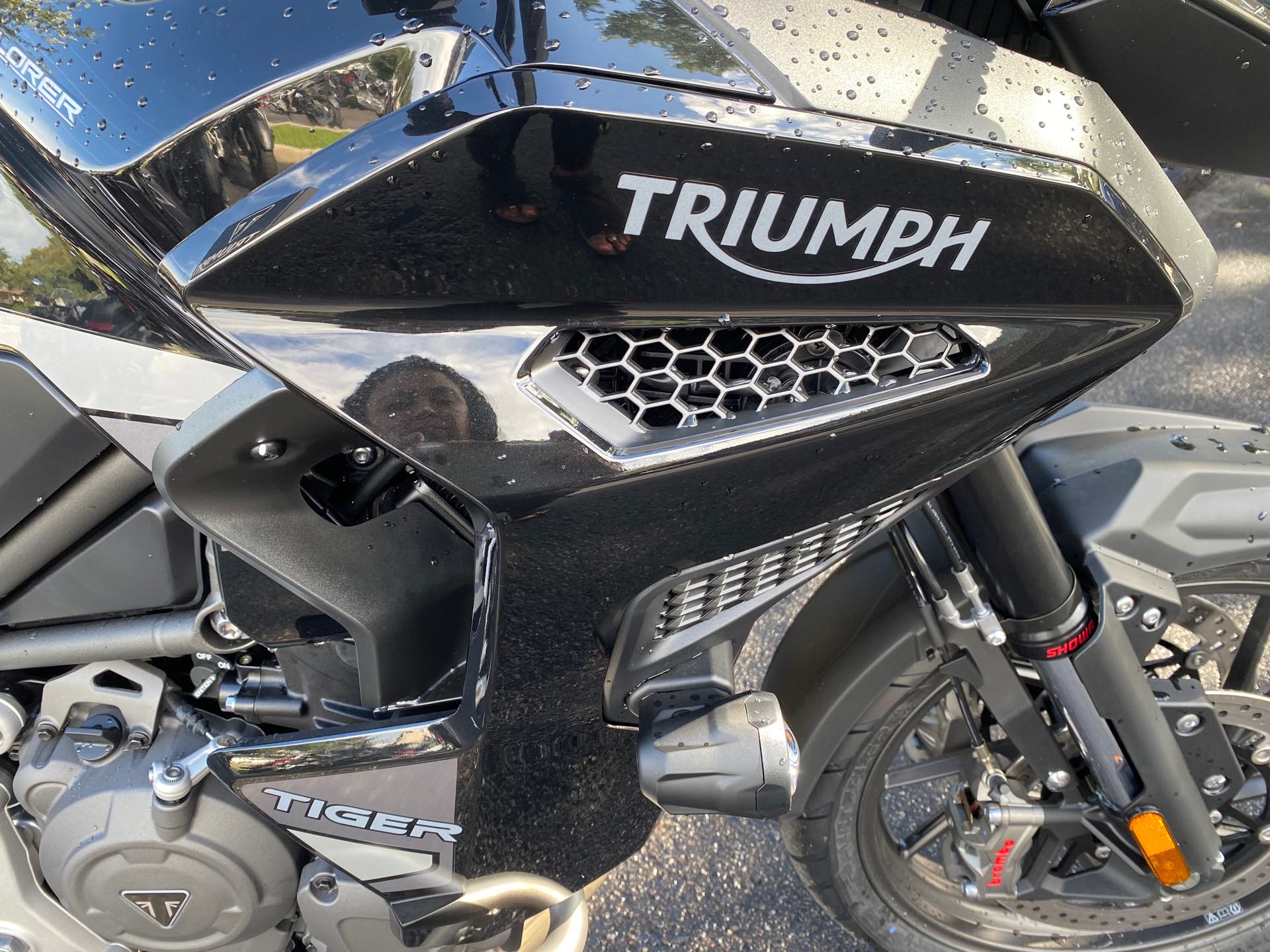 2023 Triumph Tiger 1200 GT Explorer at Tampa Triumph, Tampa, FL 33614