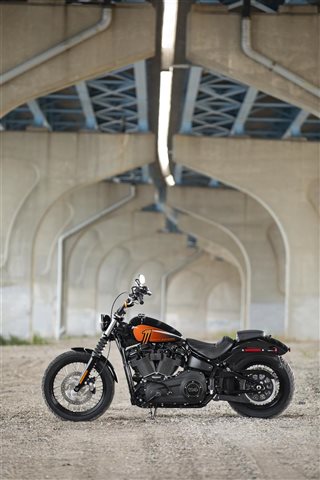 2021 Harley-Davidson Cruiser Street Bob 114 at Zips 45th Parallel Harley-Davidson