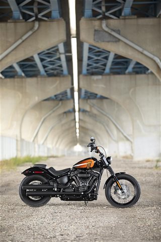 2021 Harley-Davidson Cruiser Street Bob 114 at Zips 45th Parallel Harley-Davidson