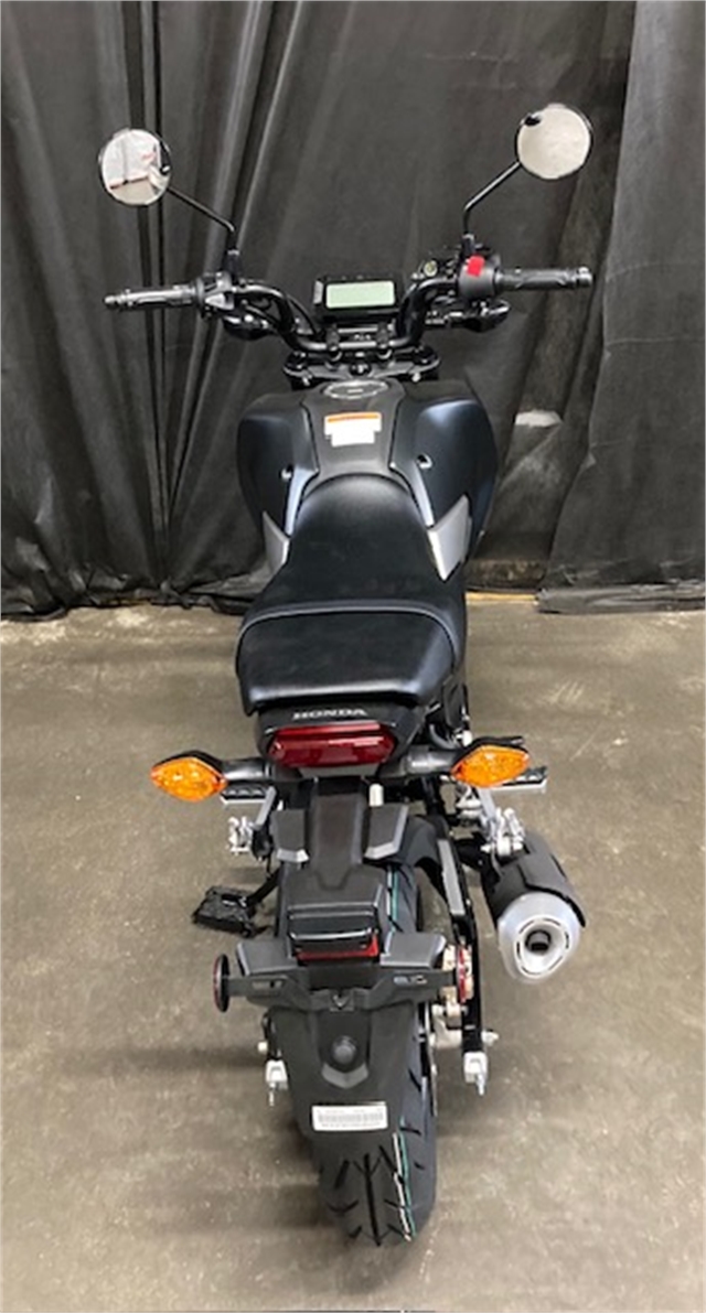 2025 Honda Grom SP at Powersports St. Augustine