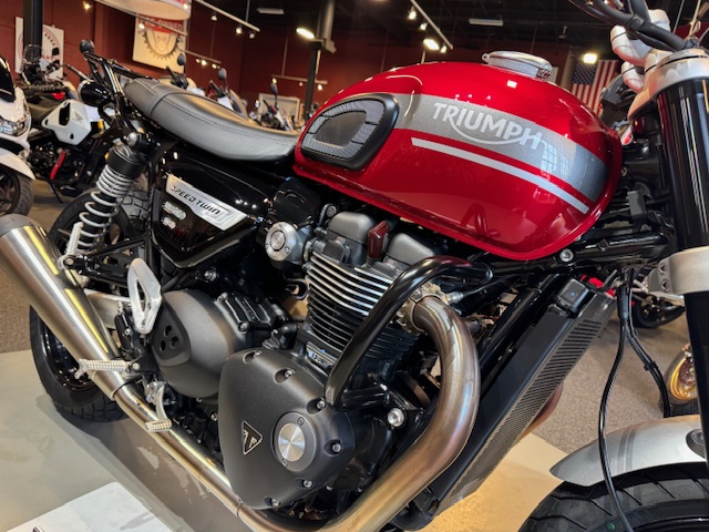 2023 Triumph Speed Twin 1200 Base at Martin Moto