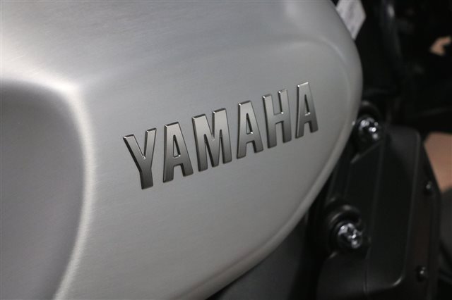 2016 Yamaha XSR 900 at Clawson Motorsports