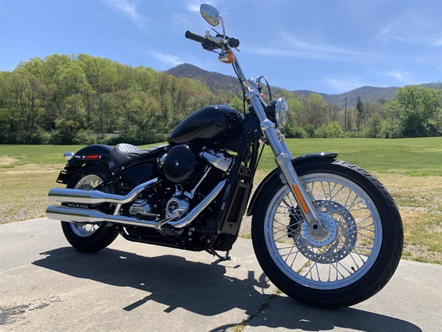 2020 Harley-Davidson FXST | Harley-Davidson of Asheville