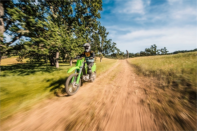 2024 Kawasaki KLX 300R at McKinney Outdoor Superstore