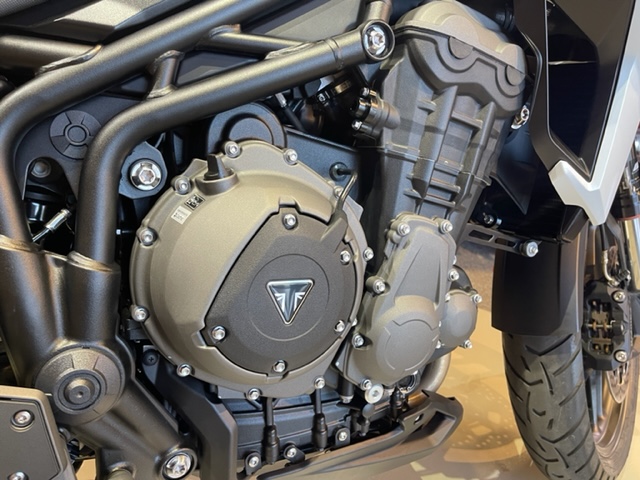 2020 Triumph Tiger 1200 Alpine Edition at Martin Moto