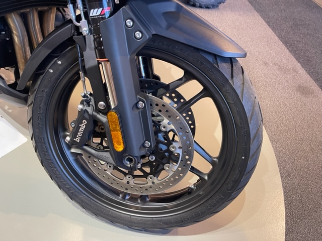 2020 Triumph Tiger 1200 Alpine Edition at Martin Moto