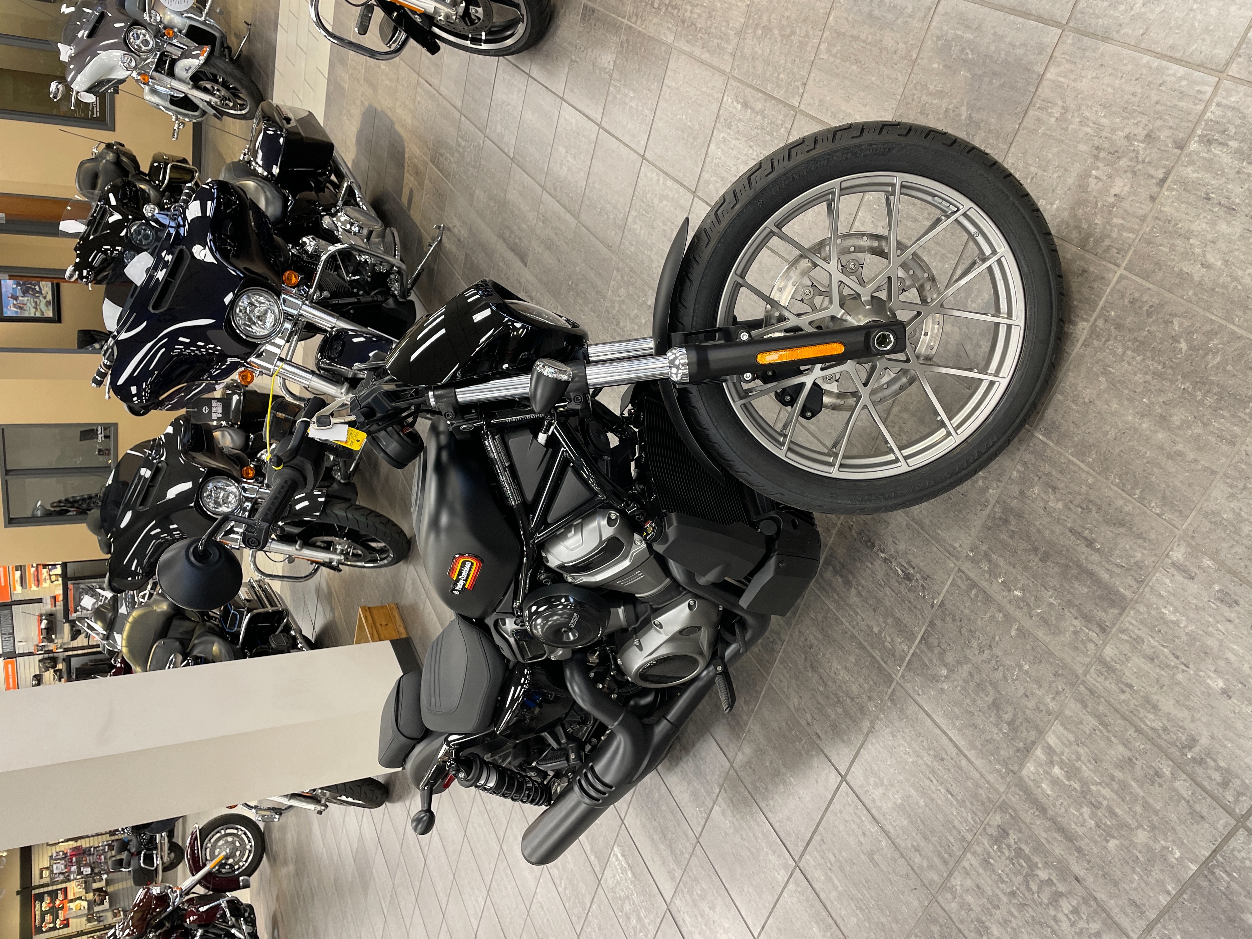 2023 Harley-Davidson Sportster Nightster Special at Tripp's Harley-Davidson