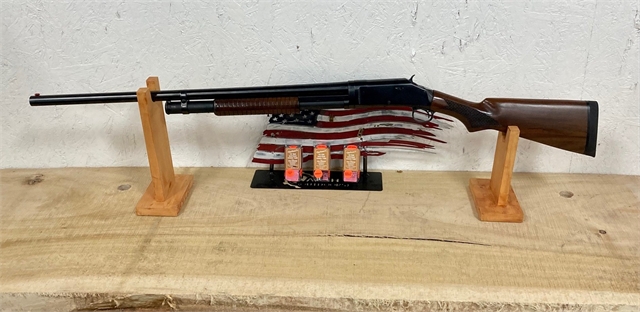 1944 Winchester Repeating Arms Shotgun at Harsh Outdoors, Eaton, CO 80615