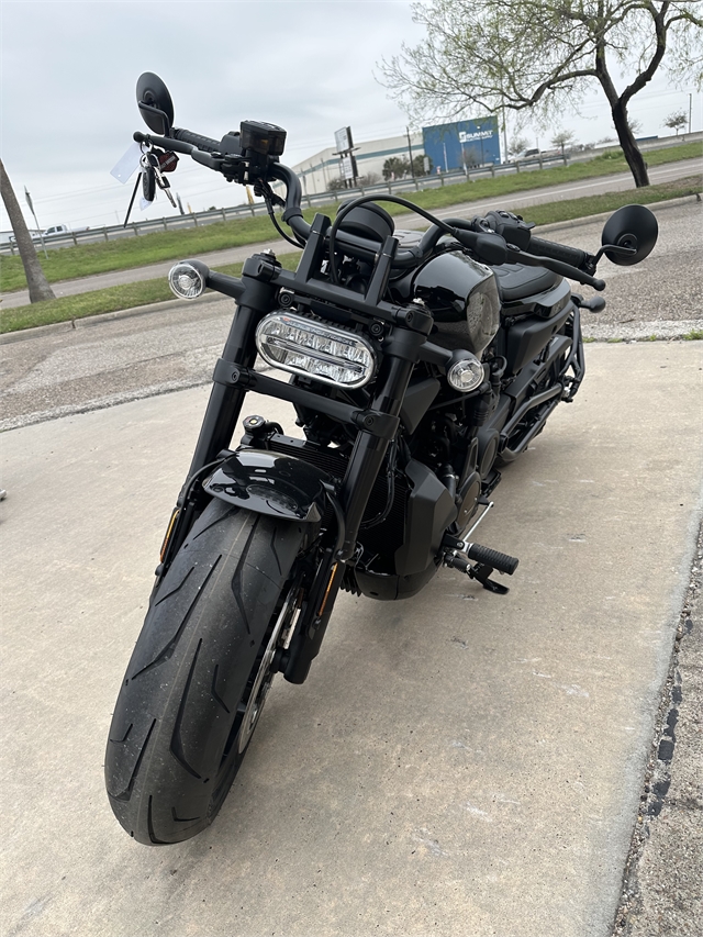 2024 Harley-Davidson Sportster at Corpus Christi Harley-Davidson