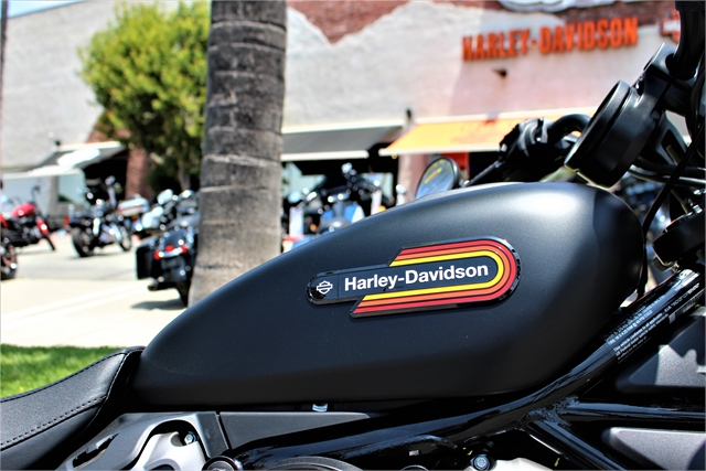 2023 Harley-Davidson Sportster Nightster Special at Quaid Harley-Davidson, Loma Linda, CA 92354