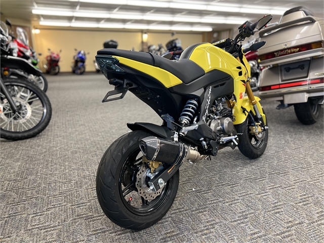 2022 Kawasaki Z125 PRO at Ehlerding Motorsports