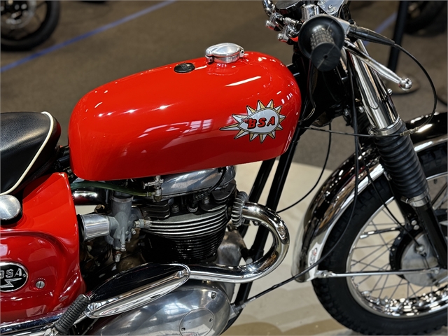 1965 BSA HORNET SCRAMBLER at Martin Moto