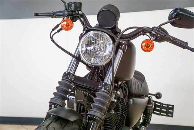 2022 Harley-Davidson Sportster Iron 883 at Destination Harley-Davidson®, Tacoma, WA 98424