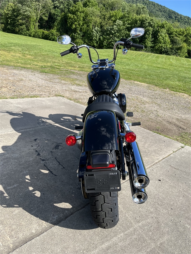 2024 Harley-Davidson Softail Standard at Harley-Davidson of Asheville