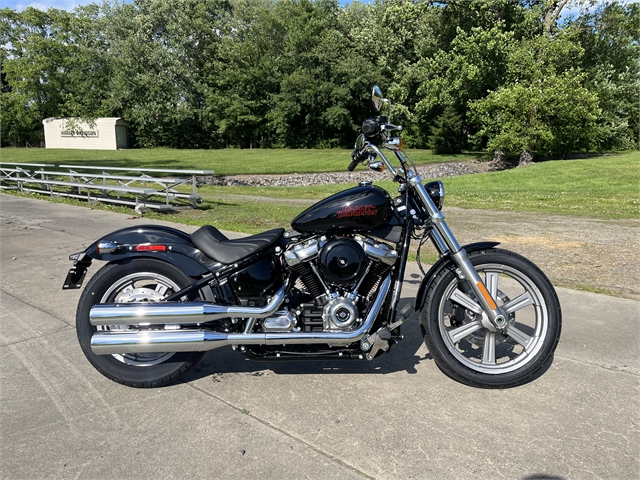 2024 Harley-Davidson Softail Standard at Harley-Davidson of Asheville