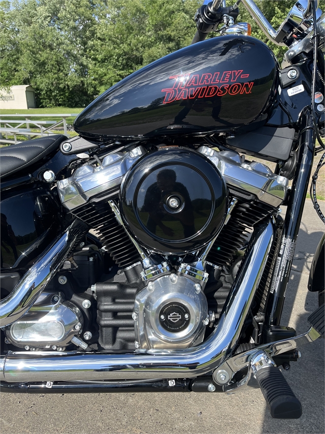 2024 Harley-Davidson Softail Standard at Harley-Davidson of Asheville