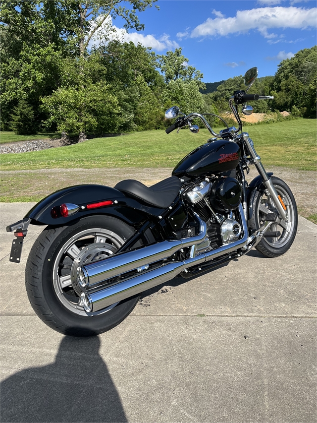 2024 Harley-Davidson Softail Standard at Harley-Davidson of Asheville