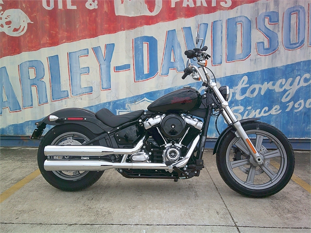 2023 Harley-Davidson Softail Standard at Gruene Harley-Davidson