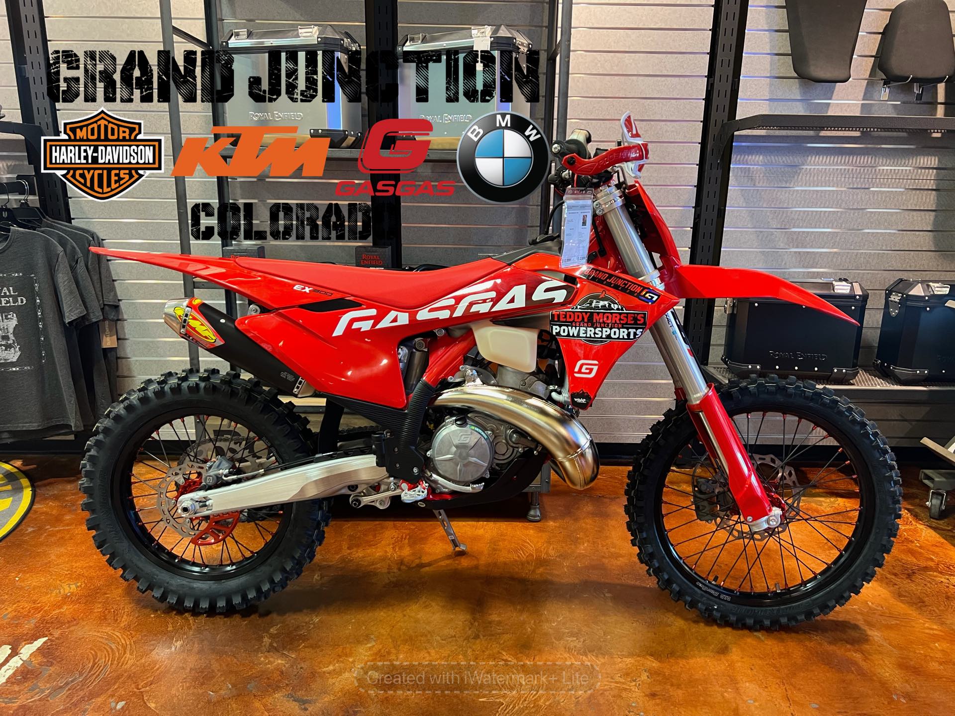 2024 GASGAS EX 300 at Teddy Morse Grand Junction Powersports