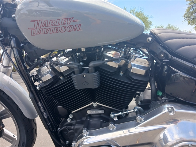 2024 Harley-Davidson Softail Standard at Buddy Stubbs Arizona Harley-Davidson