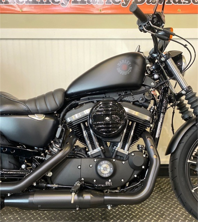 2021 Harley-Davidson Street XL 883N Iron 883 at Gasoline Alley Harley-Davidson (Red Deer)