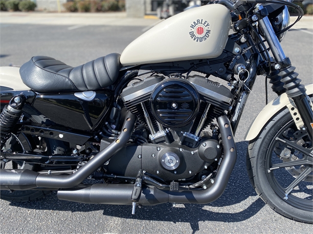 2022 Harley-Davidson Sportster Iron 883 at Southside Harley-Davidson