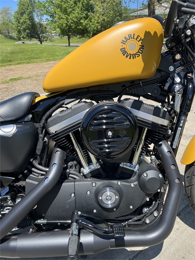 2019 Harley-Davidson Sportster Iron 883 at Harley-Davidson of Asheville