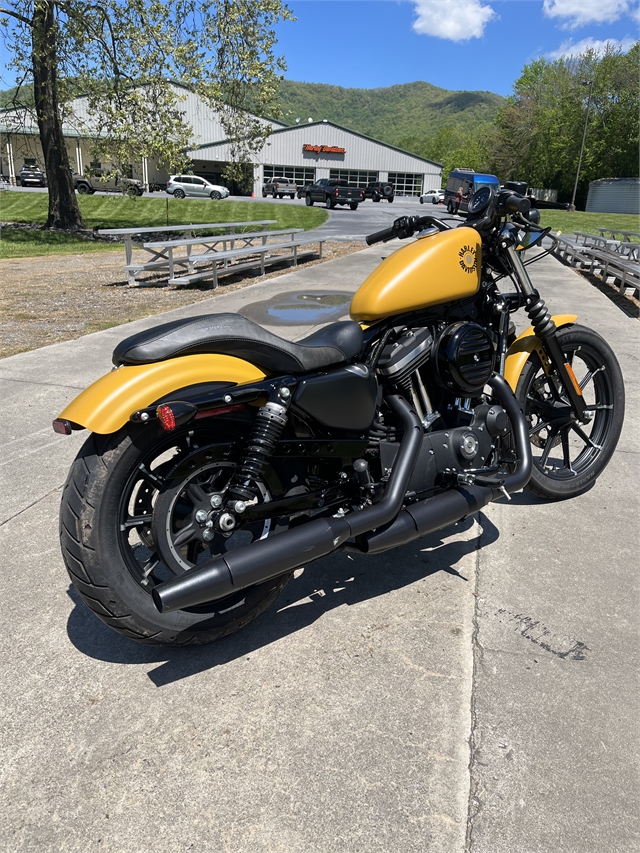 2019 Harley-Davidson Sportster Iron 883 at Harley-Davidson of Asheville