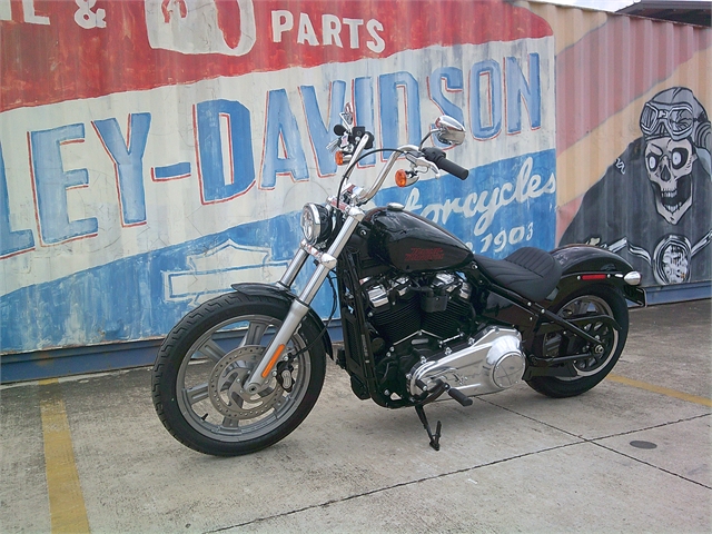 2024 Harley-Davidson Softail Standard at Gruene Harley-Davidson