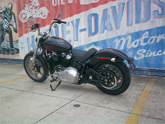 2024 Harley-Davidson Softail Standard at Gruene Harley-Davidson