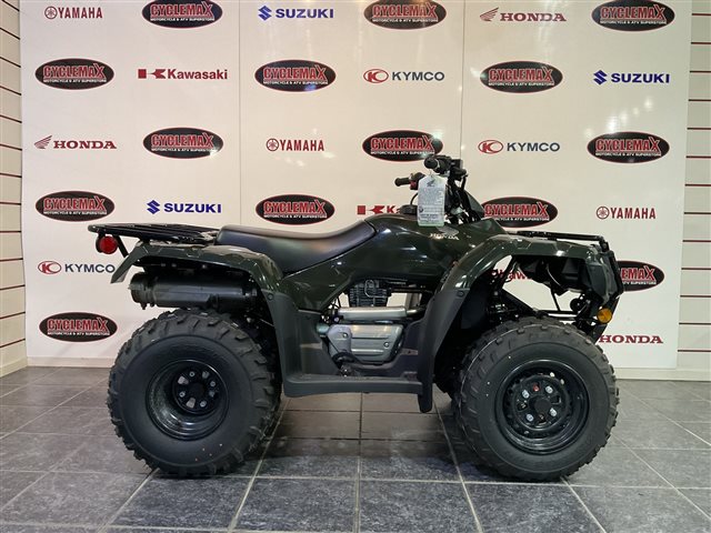 2024 Honda FourTrax Recon Base at Cycle Max