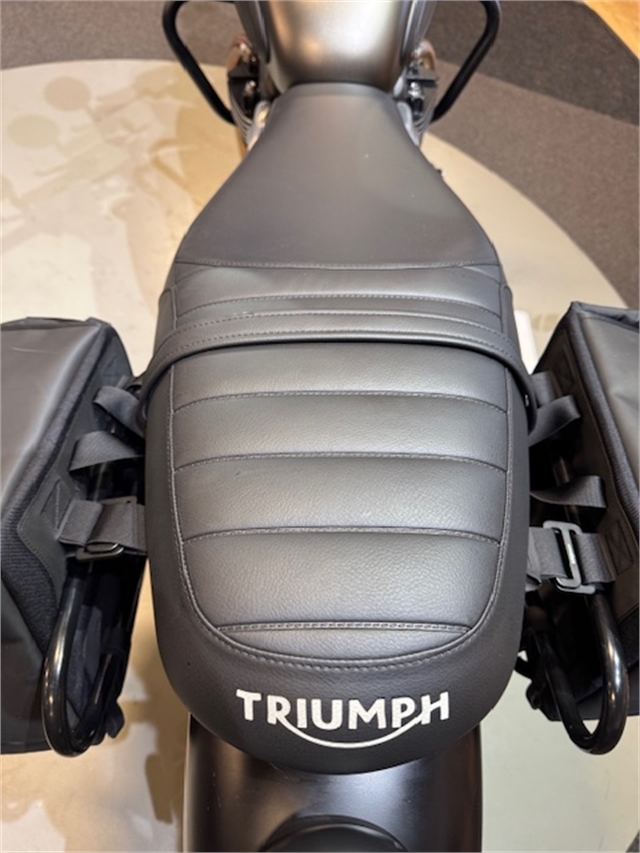 2023 Triumph Speed Twin 900 Base at Martin Moto