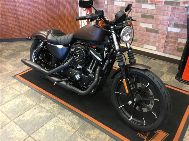 2019 Harley-Davidson Sportster 883 | Bud's Harley-Davidson