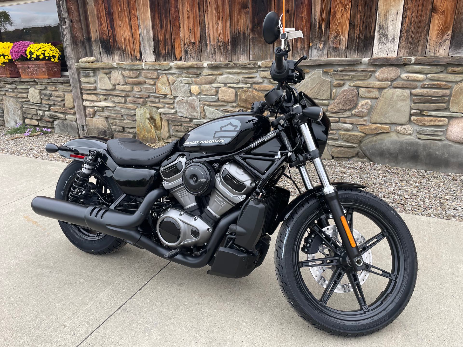 2022 Harley-Davidson Sportster Nightster at Arkport Cycles