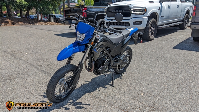 2023 Kawasaki KLX 230SM at Paulson's Motorsports