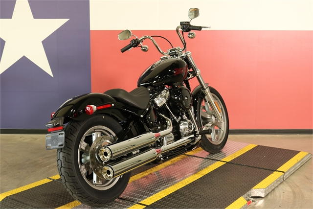 2024 Harley-Davidson Softail Standard at Texas Harley