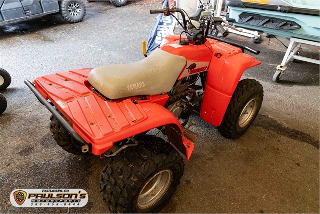 1993 YAMAHA TIMBER WOLF 250 at Paulson's Motorsports