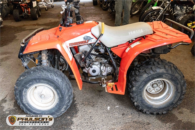 1993 YAMAHA TIMBER WOLF 250 at Paulson's Motorsports