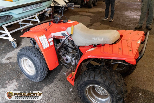 1993 YAMAHA TIMBER WOLF 250 at Paulson's Motorsports