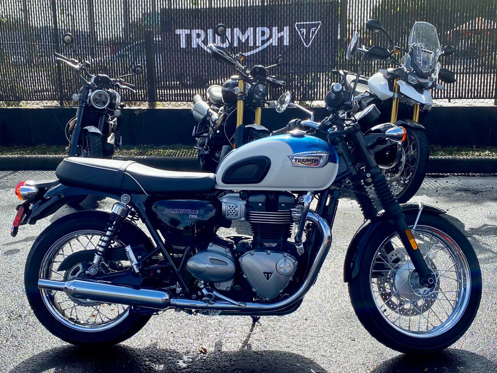 2019 Triumph Bonneville T100 Base at Tampa Triumph, Tampa, FL 33614