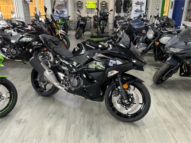 2024 Kawasaki Ninja 500 Base at Jacksonville Powersports, Jacksonville, FL 32225