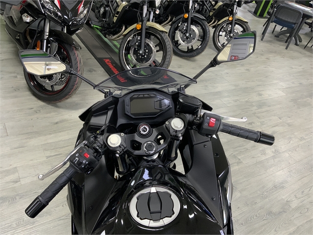 2024 Kawasaki Ninja 500 Base at Jacksonville Powersports, Jacksonville, FL 32225