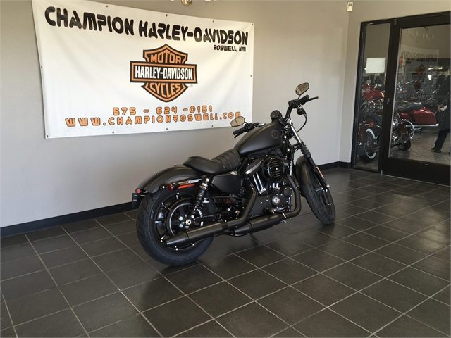 2022 Harley-Davidson Sportster Iron 883 at Champion Harley-Davidson