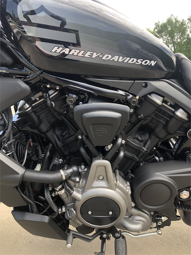 2022 Harley-Davidson Sportster Nightster at Harley-Davidson of Asheville
