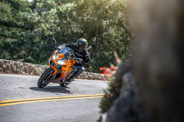 2025 Kawasaki Ninja 650 ABS at Ehlerding Motorsports