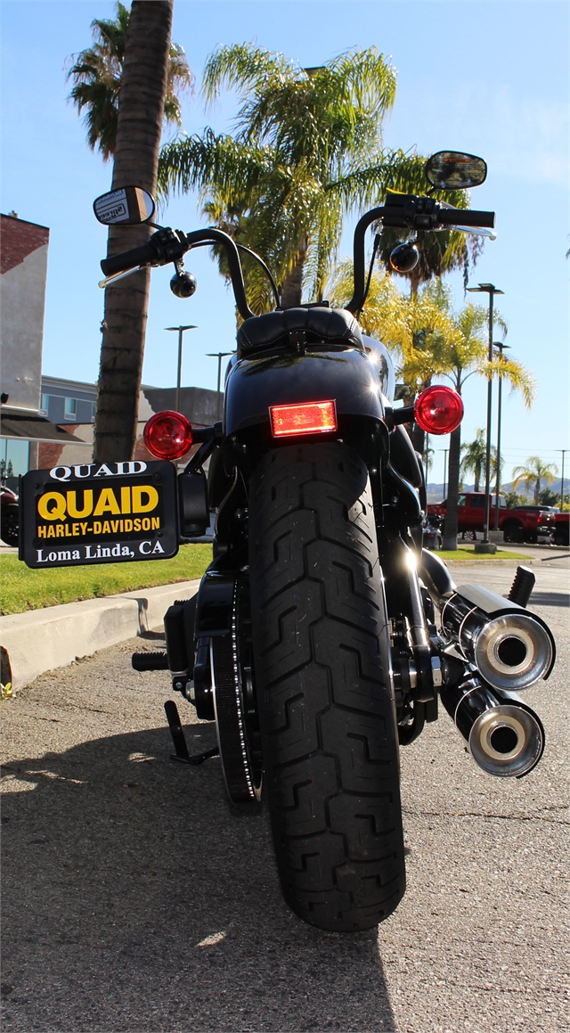 2024 Harley-Davidson Softail Street Bob 114 at Quaid Harley-Davidson, Loma Linda, CA 92354