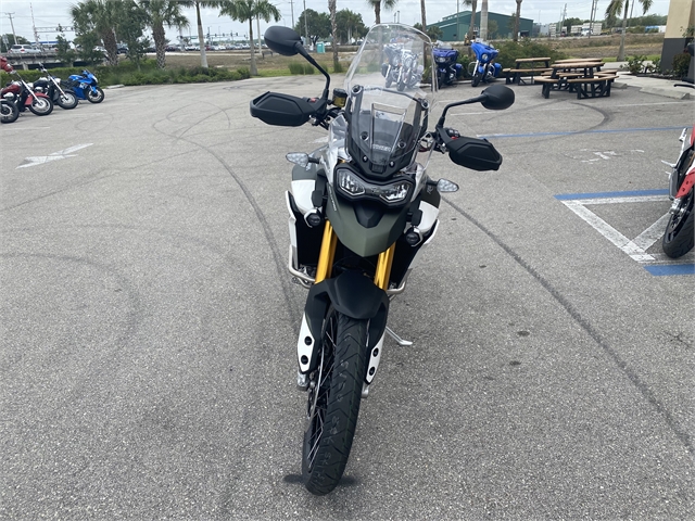2022 Triumph Tiger 900 Rally Pro at Fort Myers